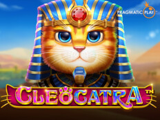 Bedava slot casino oyunları87